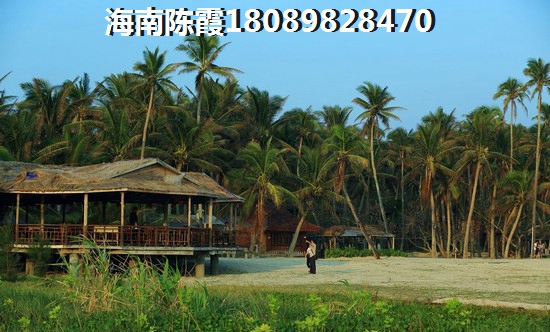 2024年广东的房子还能生纸吗？